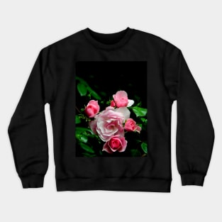 Rose Group, Garden Pink Flowers Macro Photo Crewneck Sweatshirt